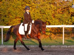 IMG_8134_web